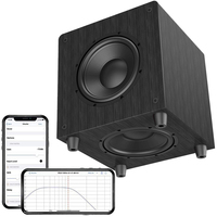 Haut-parleur subwoofer actif avec DSP intégré, fournisseur d'acoustique d'origine chinoise, double haut-parleur, design compact, subwoofers pour TV et maison