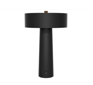 Lámpara de Mesa de Metal Hueca con Diseño Nuevo y Más Vendida, Lámpara de Inducción Sostenible de Calidad para Sala de Estar, Dormitorio, Lectura y Estudio - Product Image 2