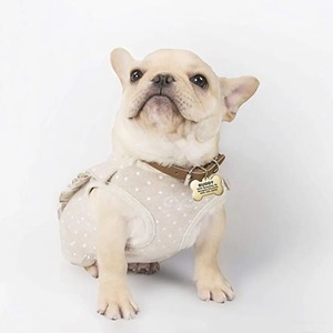 Plaque d'identification personnalisée pour animaux de compagnie en os gravé et patte creuse, pendentif d'identification en acier inoxydable pour chien et chat, étiquette de collier personnalisée avec nom et adresse, vente en gros - Product Image 5