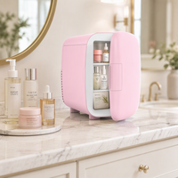 Mini-réfrigérateur de nouvelle conception, réfrigérateur à maquillage 4L pour boissons (6 canettes) et soins de la peau, petit réfrigérateur de beauté
