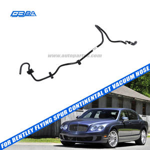 Manguera de vacío para coche, piezas originales nuevas de alta gama para Bentley Flying Spur 2009 Continental GT OE 3W1612041P/AQ/AP - Product Image 2