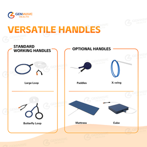 Equine LOOP portátil Physio Magneto PEMF máquina ortopédica caballo fisioterapia equipo PMST LOOP Pemf para perros - Product Image 3