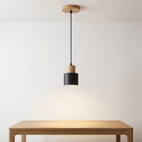 Lampes suspendues de chevet de haute qualité 220V, style nordique moderne, noir Art Déco, luminaires suspendus pour îlot de cuisine et salon