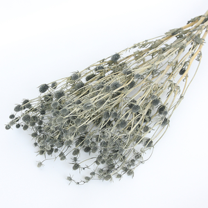 Fleurs de marron de mer séchées de haute qualité, fruits de la Saint-Valentin séchés, Eryngo <span class=keywords><strong>Eryngium</strong></span> <span class=keywords><strong>Foetidum</strong></span> pour la décoration de mariage - Product Image 5