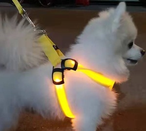 ปลอกคอสัตว์เลี้ยงแบบปรับได้พร้อมไฟ LED สำหรับกลางคืน ทำจากไนลอน ปลอดภัย ชาร์จ USB ได้  เสื้อกั๊กเรืองแสงสำหรับสุนัข ขายส่งแบบกำหนดเองได้ - Product Image 4