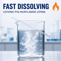 Polyacrylamide Cationique en Poudre pour la Déshydratation des Boues et la Clarification des Eaux Usées Industrielles, Pureté 99%