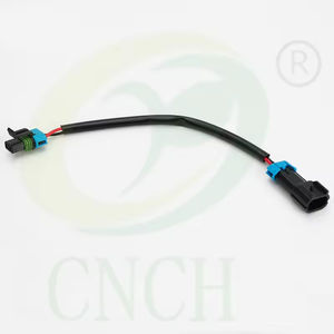 2-Pin LKW-Verlängerungskabelbaum - CNCH Maßgefertigte Stecker Kühlmittelstand-Kabelbaum Fabrik - Product Image 2