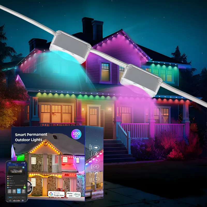 Fabriek Programmeerbare Rgb Huis Licht 36V Pixel Led Kerstverlichting Led Outdoor Punt Permanent Licht