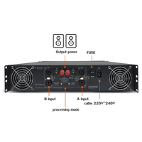 CS3000 1100W * 2 kanal sınıfı TD güç alıcısı amplifikatör ev Stereo güç amplifikatörü profesyonel