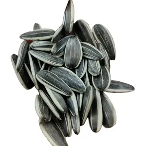 rich nutrition cheap human consumption Natural Growth Sprouting Grade Sunflower Seed Price 250-260 for sale