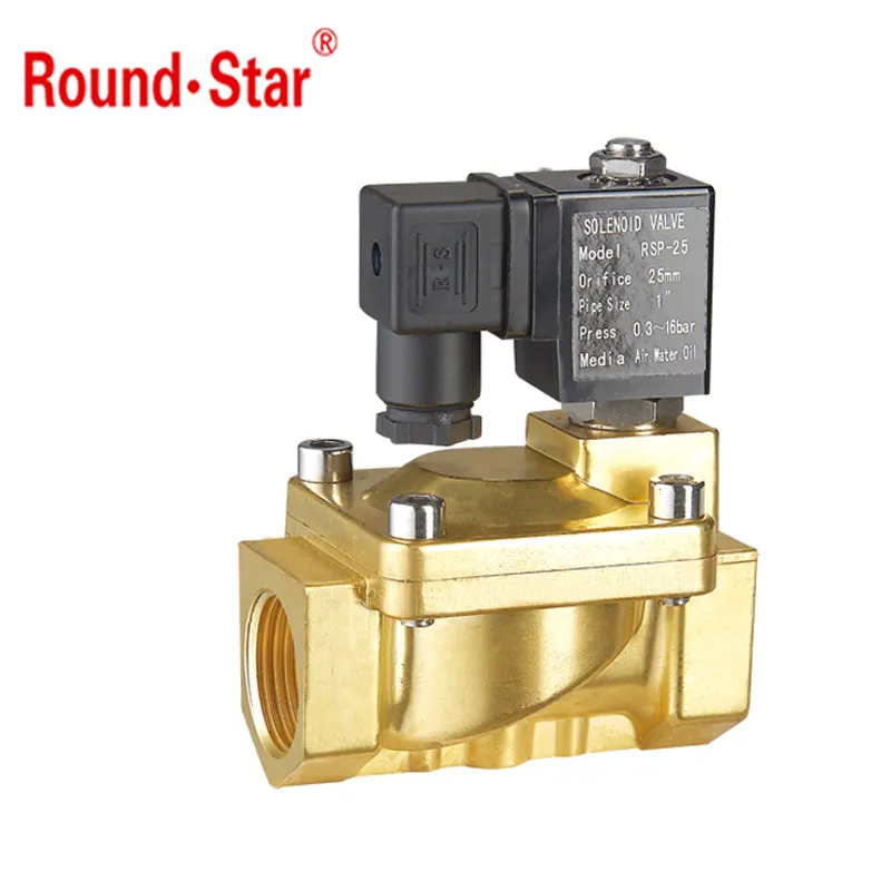 Brass solenoid valve from 1/8'-2' AC24V 12V 6V bistable latching