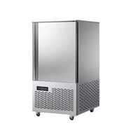 Congélateur horizontal à plaque profonde Thermocool à économie d'énergie, congélation rapide, vertical, commercial, en acier inoxydable, compresseur Copeland