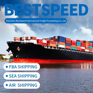 Pengiriman logistik Cina pengiriman laut ke agen pengiriman Pengiriman angkutan ala Timur Bea Cukai impor