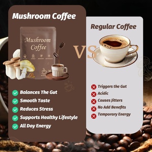 กาแฟผงเห็ดหลินจือและเห็ดหัวลิง ตราสินค้า ODM/OEM สำหรับผู้ใหญ่ ช่วยเพิ่มพลังงาน บรรจุ 100 กรัม/ถุง 1 ช้อนต่อหนึ่งหน่วยบริโภค - Product Image 4