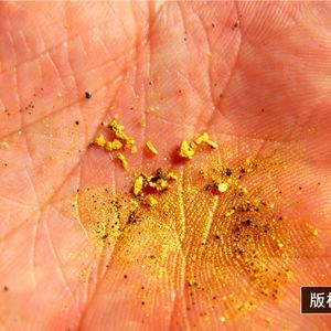 قارب تعدين الذهب الصغير المتين مقاس 3 بوصات، جرافة غسيل الذهب المخصصة، جرافة ذهب صغيرة للبيع - Product Image 6