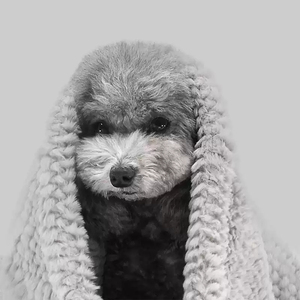 Mantas cálidas para mascotas para jaula y Manta personalizada para perros y gatos al por mayor con envío rápido mantas acogedoras - Product Image 2