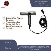 Sèche-cheveux électrique en forme de T pour coiffeur, température constante, lumière bleue, silencieux, puissance de vent élevée 2400W, usage domestique