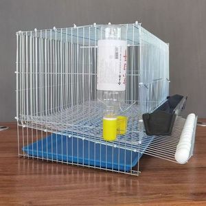 Jaula <span class=keywords><strong>de</strong></span> Cría <span class=keywords><strong>de</strong></span> Gallinas Pequeña con Ruedas para Codornices, Aves, Palomas y Loros, Modelo G11259-S1212 - Product Image 6