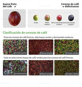 Wesort cà phê <span class=keywords><strong>cherry</strong></span> màu SORTER mini màu SORTER Nhà cung cấp cà phê <span class=keywords><strong>cherry</strong></span> màu SORTER ca cao đậu phân loại máy - Product Image 3