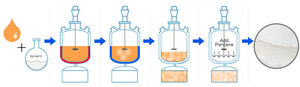 Stainless Steel Crystallization Reactor with Integrated Mixing and Filtration System - Product Image 4