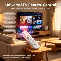 Control Remoto de TV con Voz y Código Fijo de 11 Teclas JCXK, Control Remoto Inalámbrico IR con Personalización OEM ODM