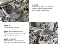 Machine à sauce multifonctionnelle en plastique avec système d'ensachage pour liquides/pâtes, boissons, pompe de pesage et de scellage électrique automatique
