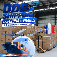 Tür-zu-Tür Logistikservice Luftfracht LKW-Versand Luftfrachtspedition Spedition von China nach FR