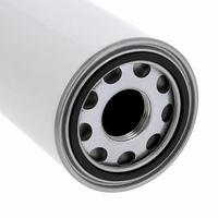 Filtres à huile hydraulique en promotion 6005028192 P764259 SH62035 pour moteurs d'excavatrices et machines de construction