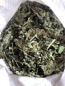 Feuilles séchées d'<span class=keywords><strong>Hibiscus</strong></span> <span class=keywords><strong>mutabilis</strong></span> (<span class=keywords><strong>Hibiscus</strong></span> <span class=keywords><strong>mutabilis</strong></span>) pour herboristerie - Product Image 3