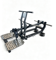 Machine de Squat à Ceinture Rhino Professionnelle Robuste à Charge de Plaques, Réglable, pour Entraînement de la Poitrine, du Dos et des Jambes, avec Système de Sécurité