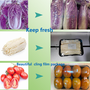 Máy Đóng Gói Thực Phẩm Biển Máy Đóng Gói Thực Phẩm Tự Động Máy Đóng Gói Thực Phẩm Bằng Tay - Product Image 5