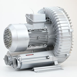 JQT 2GH 610-H16 2,2 kW 3-phasiges elektrisches CNC-Vakuumpumpen gebläse 380V Luft vakuumpumpe Seitenkanal-Ring gebläse - Product Image 3