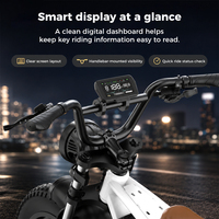 Vélo électrique 48V pour adultes, vélo à pneus larges haute vitesse 45 km/h avec batterie au lithium, moteur sans balais, cadre en acier, vélo électrique pliable