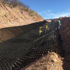 Griglia Geocellulare per Vialetti e Strade 50-300Mm Stabilizzatore HDPE Geocellulare Miglior Prezzo Pavimentazione Permeabile in Plastica - Product Image 3