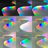 Bande LED néon RGB DMX 50*30mm 24V IP67 étanche pour façade de bâtiment, éclairage de scène numérique adressable, RGBW DMX LED