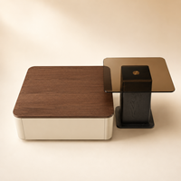 Meuble de salon moderne et élégant en marbre arrondi, avec cadre en bois durable et écologique, surface spacieuse de haute qualité