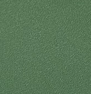 Cresson vert