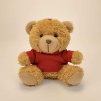Faible MOQ, porte-clés ours en peluche personnalisé de 10 cm avec logo, t-shirt, breloque de sac en peluche, cadeau pour les promotions, sac à dos pour enfants, cadeaux de fête