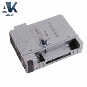 โมดูลเอาต์พุตอะนาล็อก Yokogawa S1 AAI543-S00 - Product Image 2