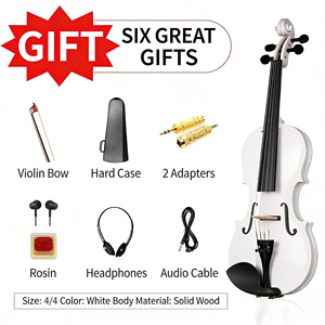 Violino Elettrico a 5 Corde all'Ingrosso - Strumento Musicale alla Moda a Prezzo Competitivo per Scuole di Musica e Bande - Product Image 6