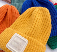 Custom Logo Gebreide Skull Caps, Mannen Beanie Muts Gebreid, Beanie Hoeden Schedel Heren Met Patch