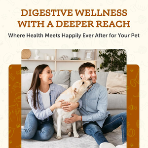 Tetesan penyelamatan usus besar esensial hewan untuk anjing kucing-knalpot pereda bangku pelembut licin Elm Marshmallow akar imun - Product Image 6