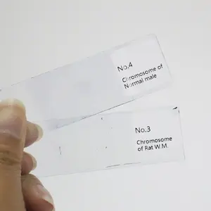 Juego de 14 portaobjetos de microscopio preparados Genética Diapositivas preparadas Clases de cromosomas humanos Enseñanza - Product Image 2