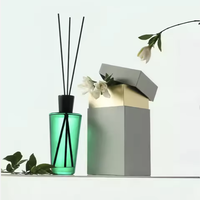 Diffuseur d'huiles essentielles en gros, flacon conique en verre de 100 ml, diffuseur d'arômes à bâtonnets avec couvercle en bois