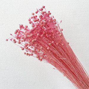 Fournitures de <span class=keywords><strong>fleuriste</strong></span> de haute qualité, fleurs séchées naturelles, fraîches et éternelles, haricots de jequirity, perles en désordre, pour la décoration de la maison - Product Image 4