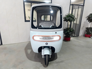 Tricycle passager 60 km/h à succès avec carrosserie fermée et portes – Ce tricycle adulte est équipé d'un moteur haute performance de 800 W - Product Image 5