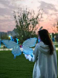 Nieuw gelanceerde populaire romantische bruiloft, vrolijke feest, programmeerbaar sfeerlicht, vlinder-gloeiende lampen - Product Image 1