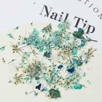 3D Mini vraies fleurs sèches Nail Art Accessoires 3 couleurs DIY Nail Stickers avec mélange de pétales de fleurs