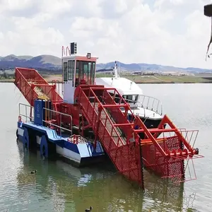 中国巨龙水葫芦切割机风信子收集船清理垃圾