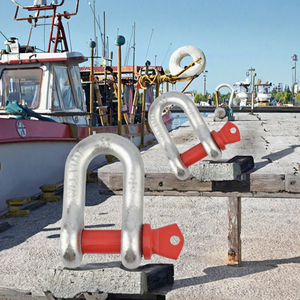Manilles de levage en acier forgé de type <span class=keywords><strong>D</strong></span> à écrous, haute résistance, pour applications marines et minières, vente en gros - Product Image 4
